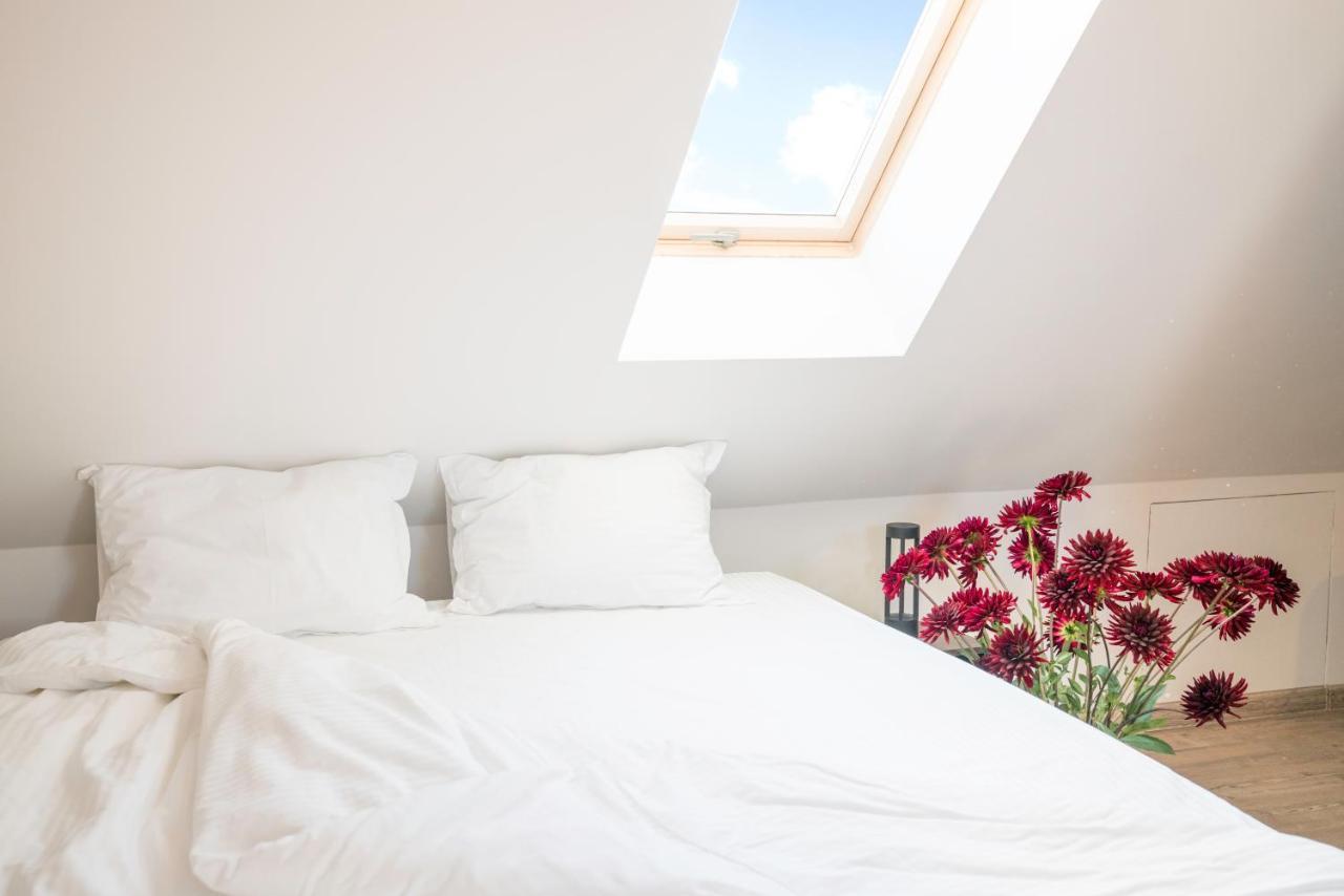 Casa Daca Boutique Hotel Kiszyniów Zewnętrze zdjęcie
